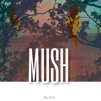 Bliss