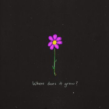 Where does it grow?