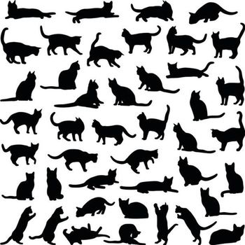Os Gatos
