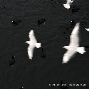 Migration