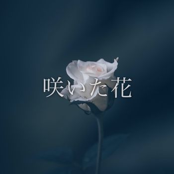 Flowers That Bloomed