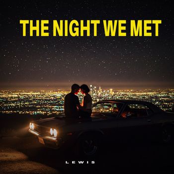 The Night We Met