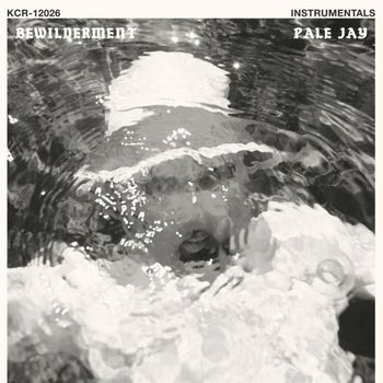 Bewilderment (Instrumentals)