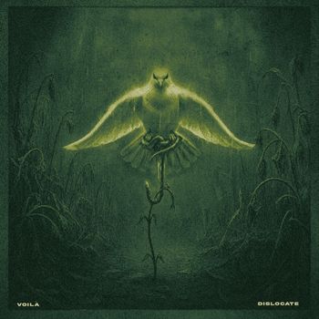 Dislocate