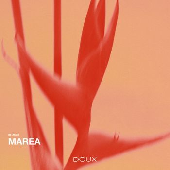 Marea