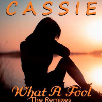 What a Fool (The Remixes)