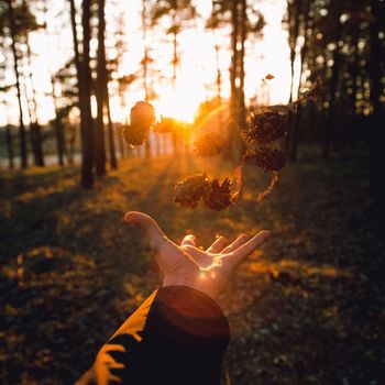 Letting Go