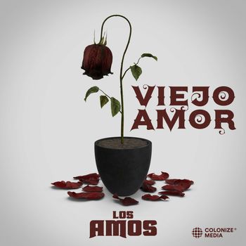 Viejo Amor