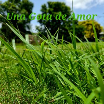 Una Gota de Amor