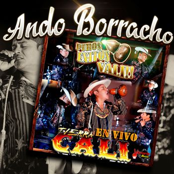 Ando Borracho