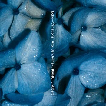 Echo—Variations (1)