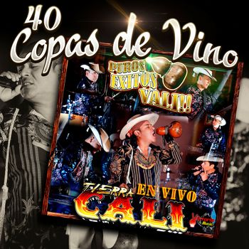 40 Copas de Vino