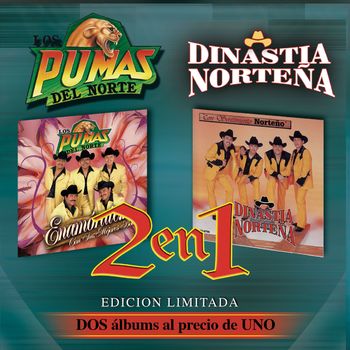 2 en 1
