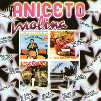 15 Exitos