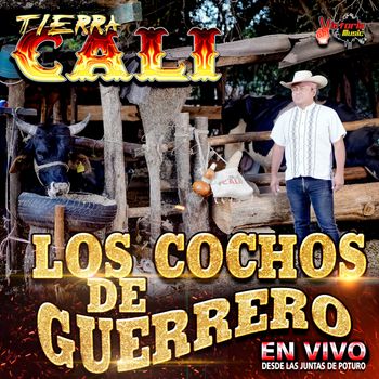 Los Cochos De Guerrero
