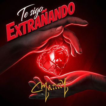Te Sigo Extrañando