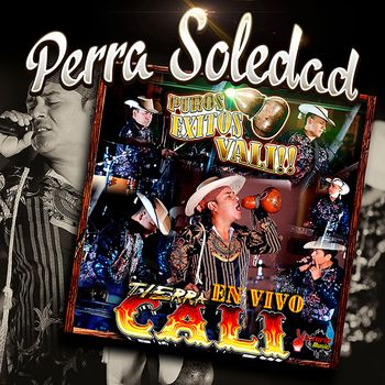 Perra Soledad