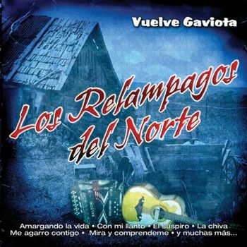 Vuelve Gaviota