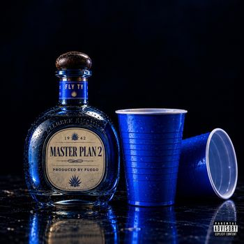 Master Plan 2