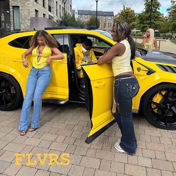 FLVRS