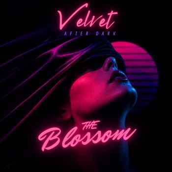 Velvet After Dark