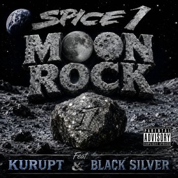 Moon Rock