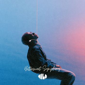 Bittersweet Symphony