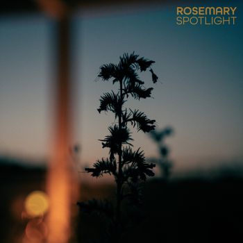 Spotlight
