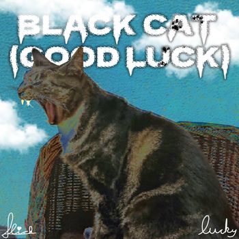 Black Cat (Good Luck)