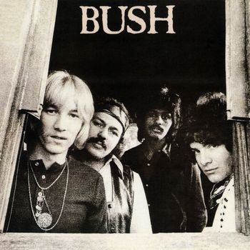 Bush