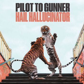 Hail Hallucinator