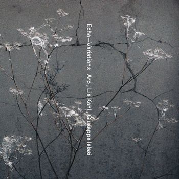 Echo—Variations (3)