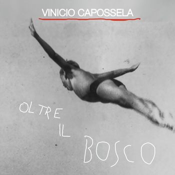 Oltre il bosco