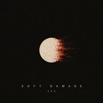 SOFT DAMAGE