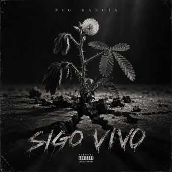 Sigo Vivo