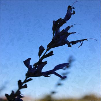 Draw Me A Sky