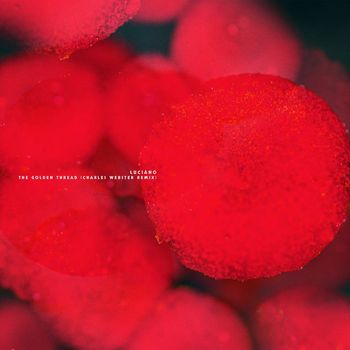 The Golden Thread (Charles Webster Remix)