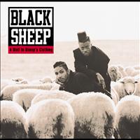 Black Sheep - A Wolf In Sheep's Clothing (Explicit)
