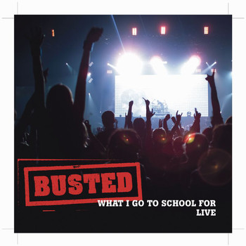 Busted - What I Go To School For - Live Version