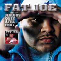 Fat Joe - We Thuggin' (feat. R. Kelly)
