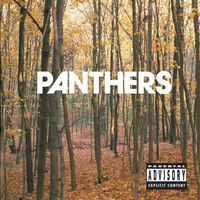 Panthers - Things Are Strange (Explicit Content   U.S. Version)