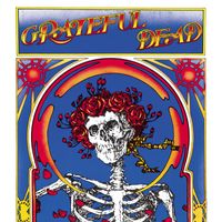 Grateful Dead - Grateful Dead (Skull & Roses) (Live [Explicit])