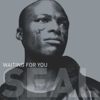 Seal - Waiting for You