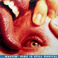 The Flaming Lips - Wastin' Pigs (Extended Single Version)