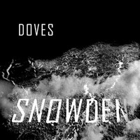 Doves - Snowden