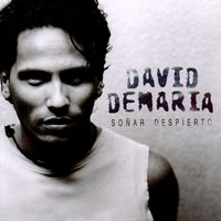 David deMaria - Soñar despierto
