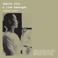 Damien Rice - Unplayed Piano