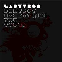 Ladytron - Destroy  Everything You Touch (Archigram Remix)