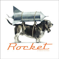 Braund Reynolds - Rocket (A Natural Gambler)