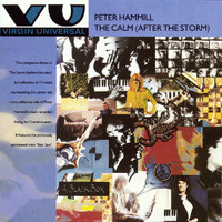 Peter Hammill - The Calm (After The Storm)